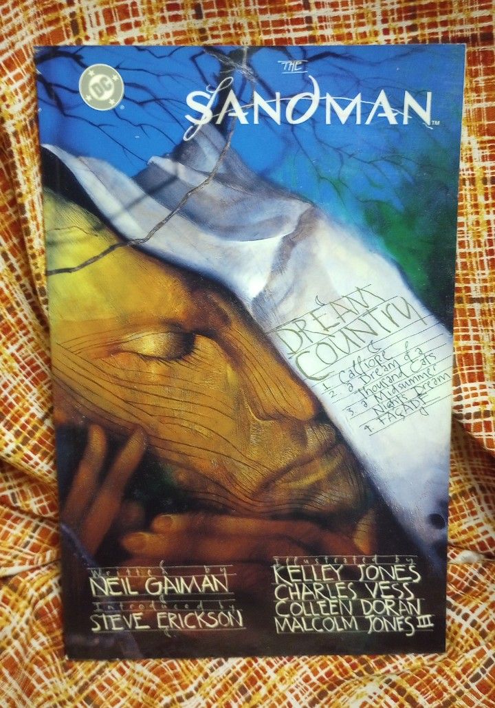 The Sandman Fantasy Comic Short Stories Vintage Art Reading By Neil Gaiman 