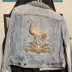 BDG Denim Jacket 