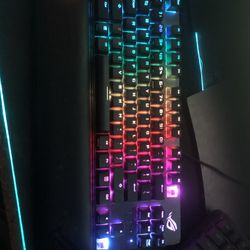 110% Republic Of Gamers Keyboard ( Need Gone)