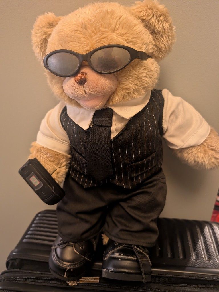Fully Dressed Build A Bear Teddy 