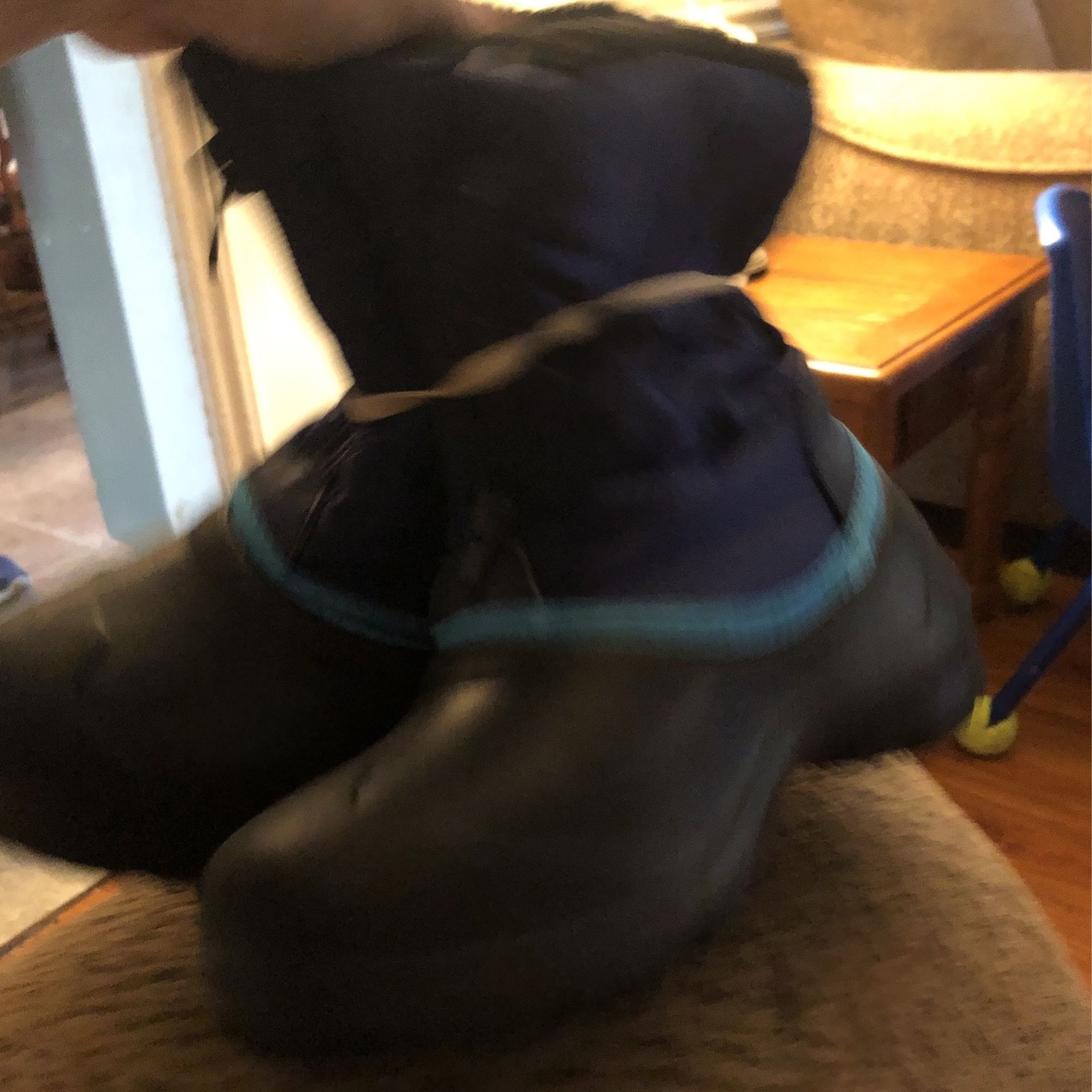 Boys Snow Boots