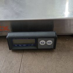 Weight Scale