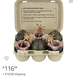 ALIEN EGGS 🥚