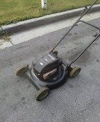 Clean Cut Mowing Service I beat anyone price 25$ get at me