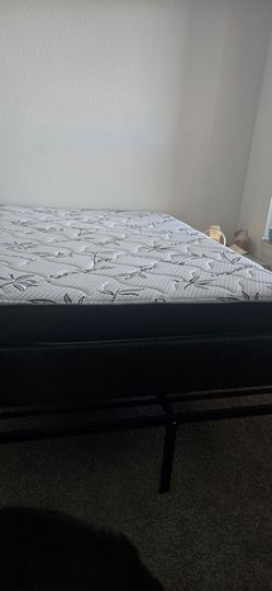 Full Size Mattress and Box Spring
