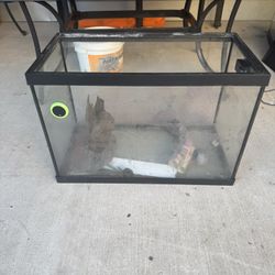 Smaller Fish Tank