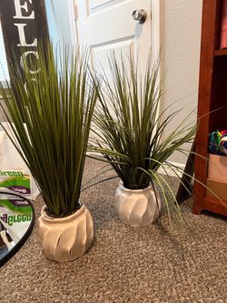 Faux Grass Plants in Ceramic Pots – Set of 2