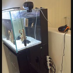 Excellent Condition Fish Tank 45 Gallon 