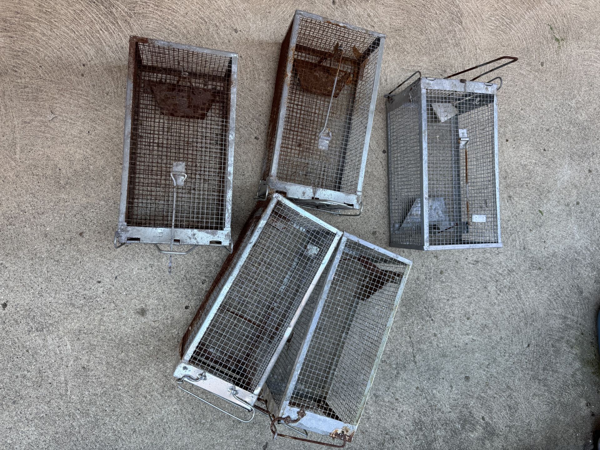 Lot of 5 Humane Small Animal Traps