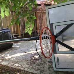 Basket Hoop (Lifetime Brand)