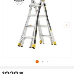 17' Ladder 