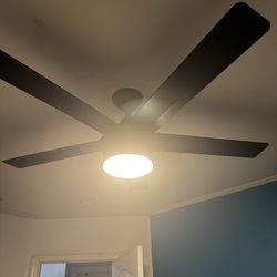 Fan with light