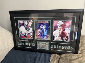 Dan Marino Miami dolphins poster