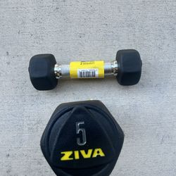 Brand New 5lb Dumbbells Set
