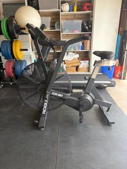 Rogue Echo Bike
