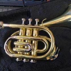 Berkeley Wind Bent Pocket Trumpet 
