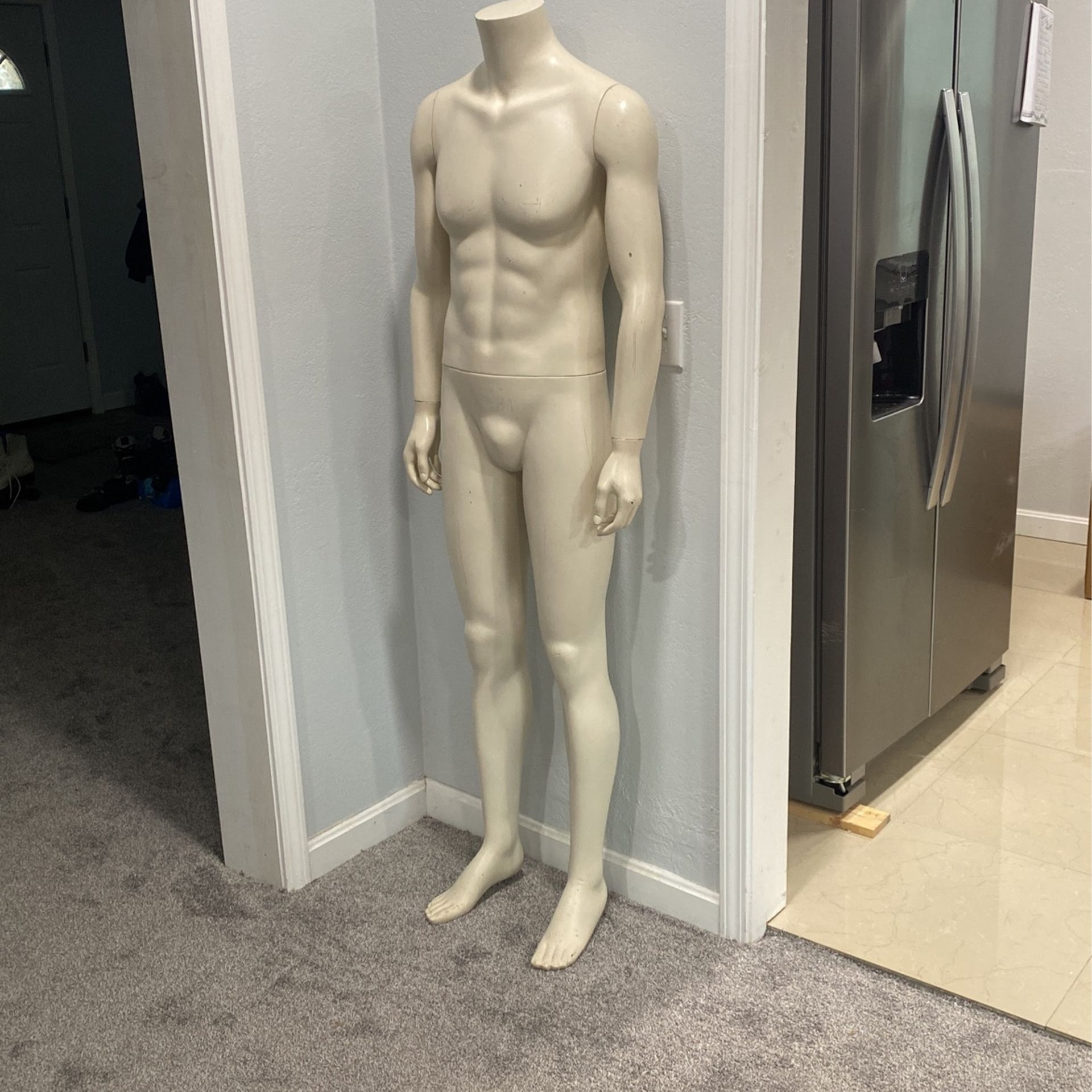 Male Mannequin