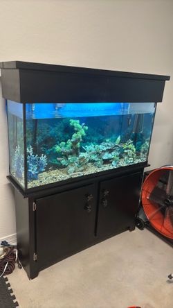 Fish tank