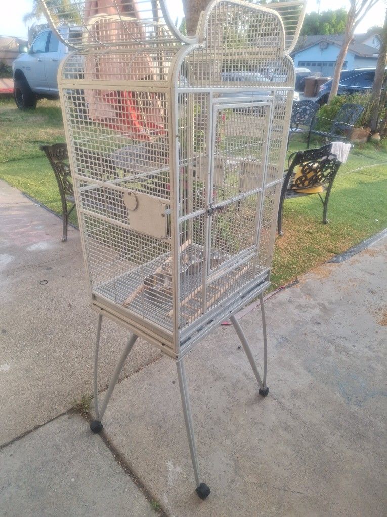 Bird Cage