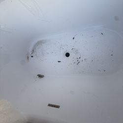 Fiberglass Bathtub 