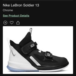 Nike Lebron Soldier XIII SFG TB Chrome Size 11.5 
