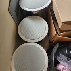 Ceiling Mount Speakers And Sub