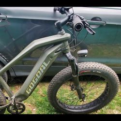 Electric Bike For Sale