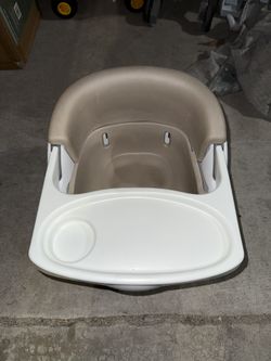 Ingenuity Infant Seat 