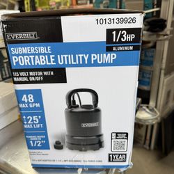 Everbilt 1/3 HP Submersible Aluminum Utility Pump