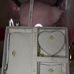Coach 3 piece purse set