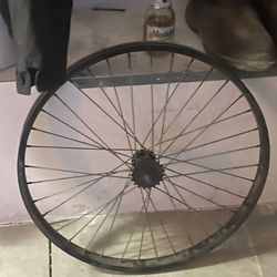 Bike Tire 