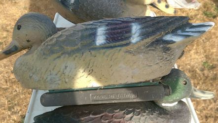 Duck Decoys