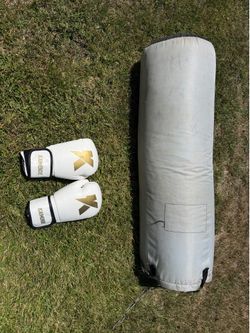 Punching Bag & Gloves