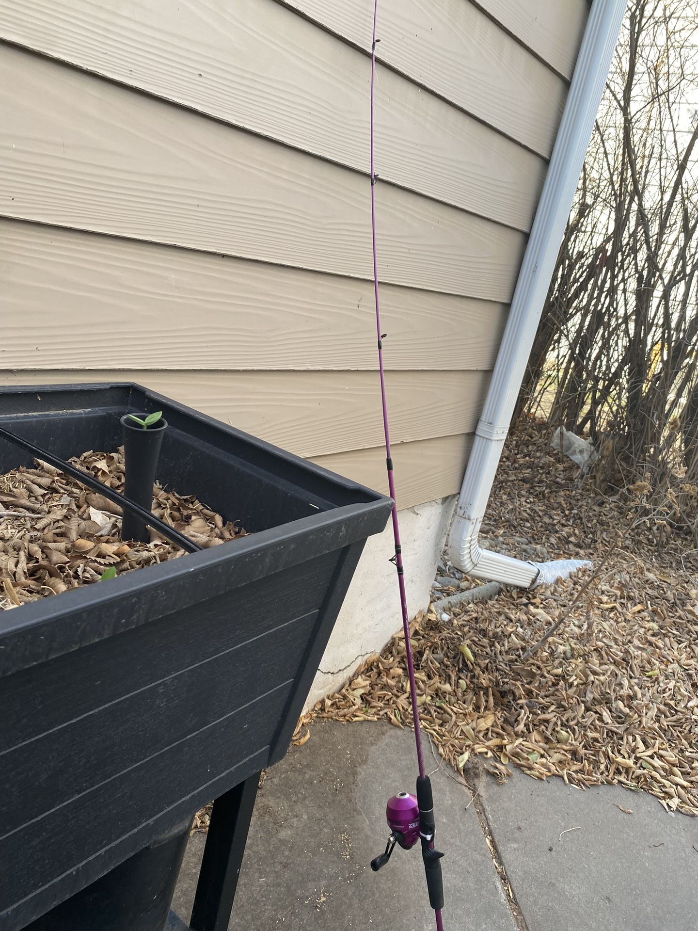 Zebco Fishing Pole