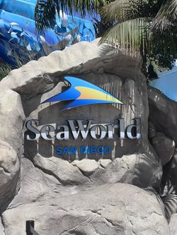 Seaworld Tickets Especial 35