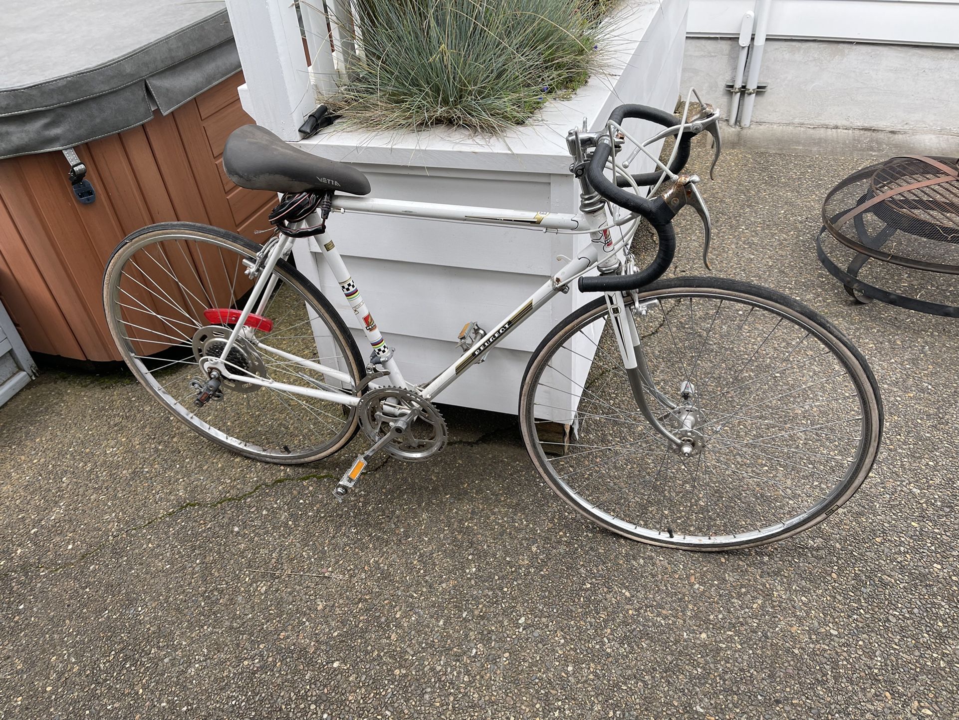 Mountain Bike “Peugeot”