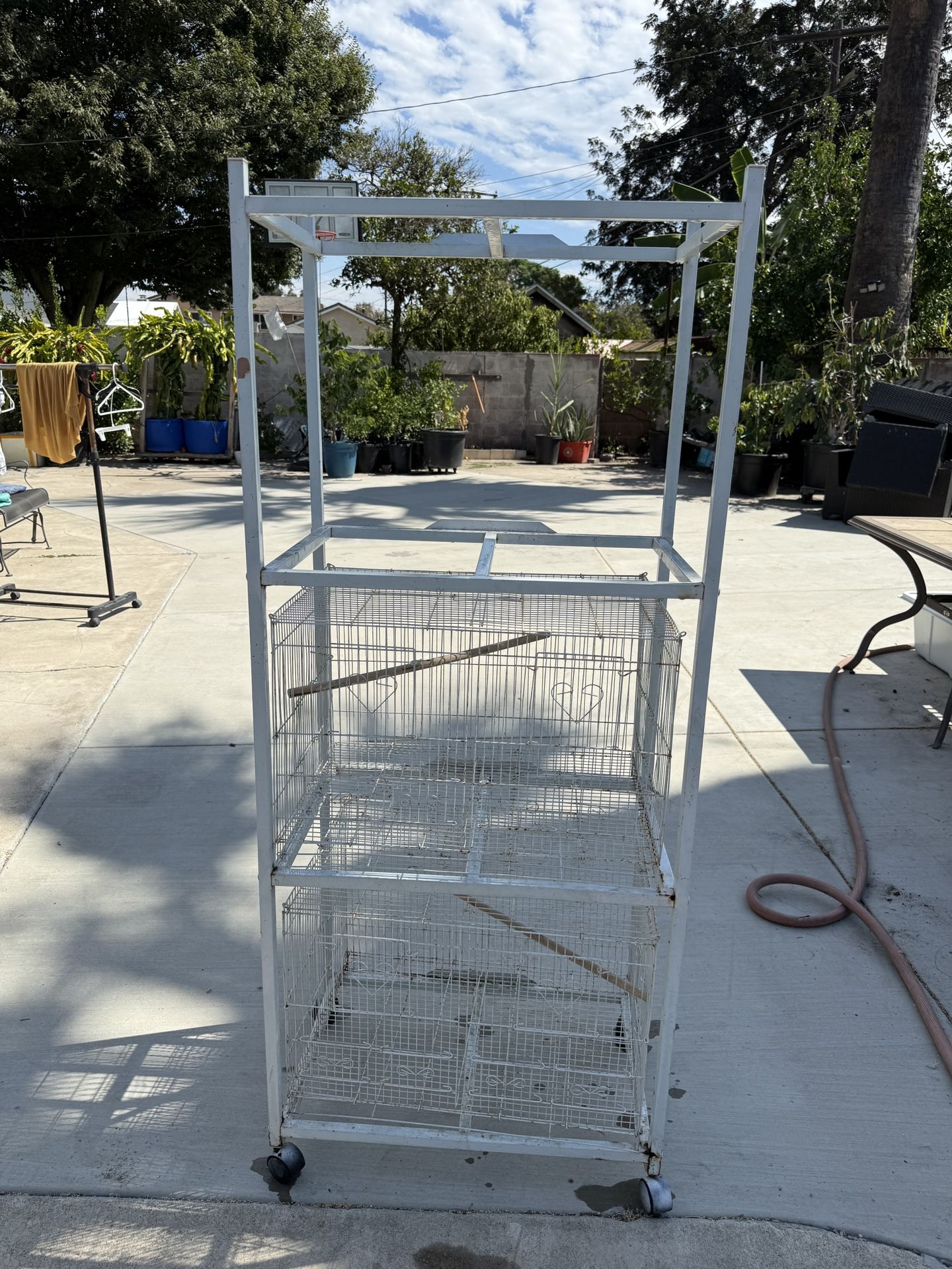 Bird Cage 