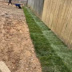 Fresh Sod Cut Every Morning 