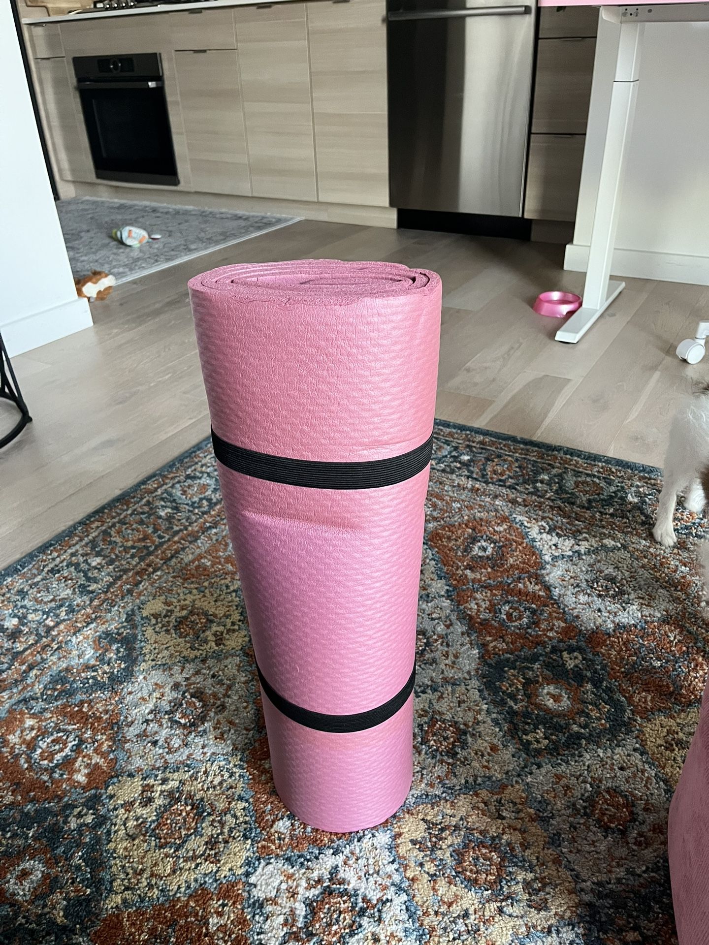 In home workout equipment