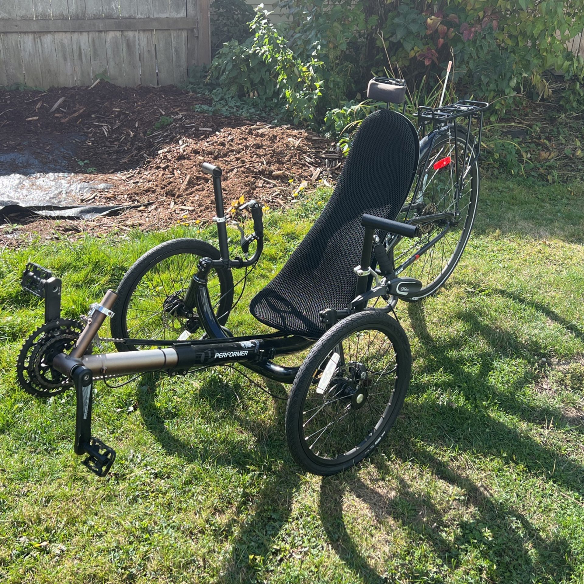 Recumbent Tricycle