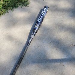 Louisville Softball Bat 
