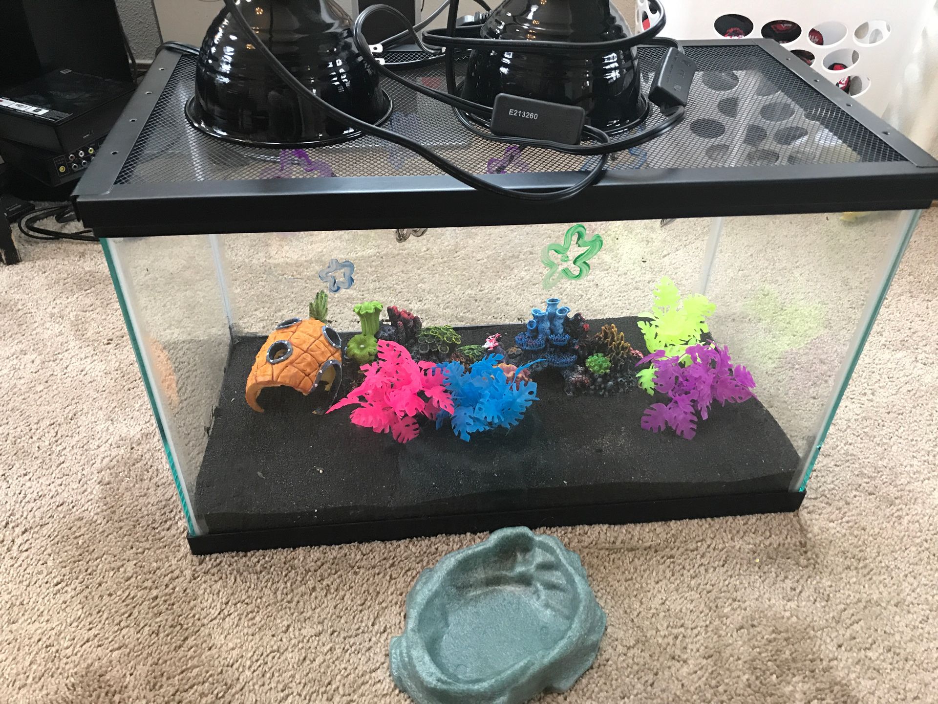 Lizard tank/ Fish tank/ Reptile lights for Sale in Marysville, WA OfferUp