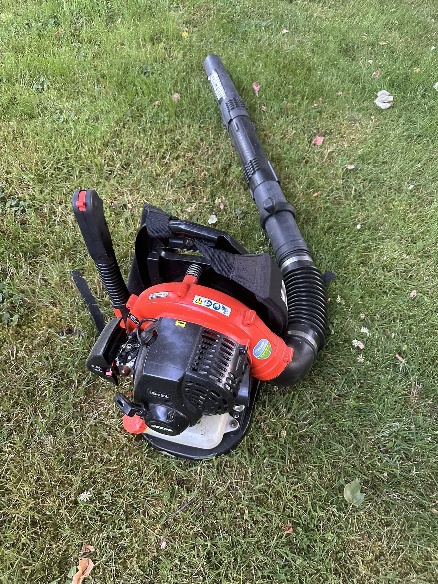 Not Working Gas Blower