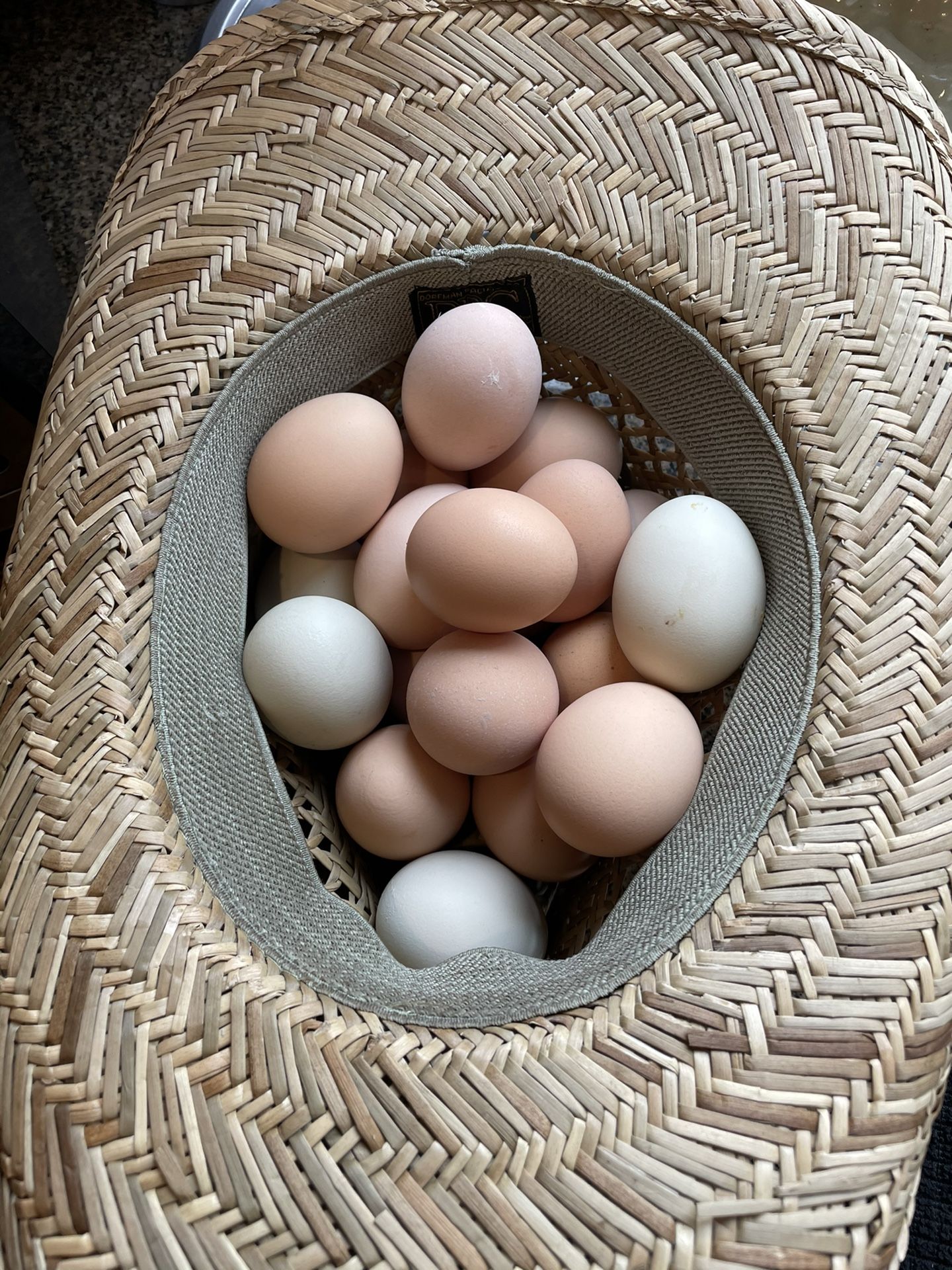 Farm fresh eggs $3.99 +.01cents Per Dozen