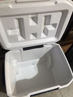 Coleman cooler