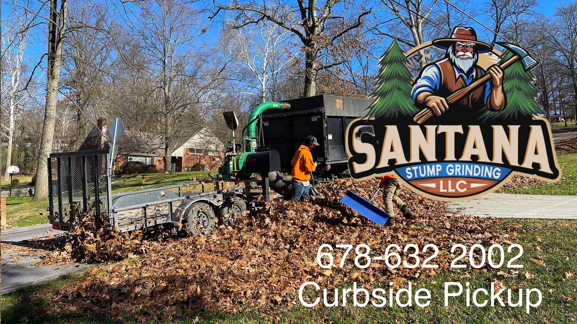 Stump Grinding