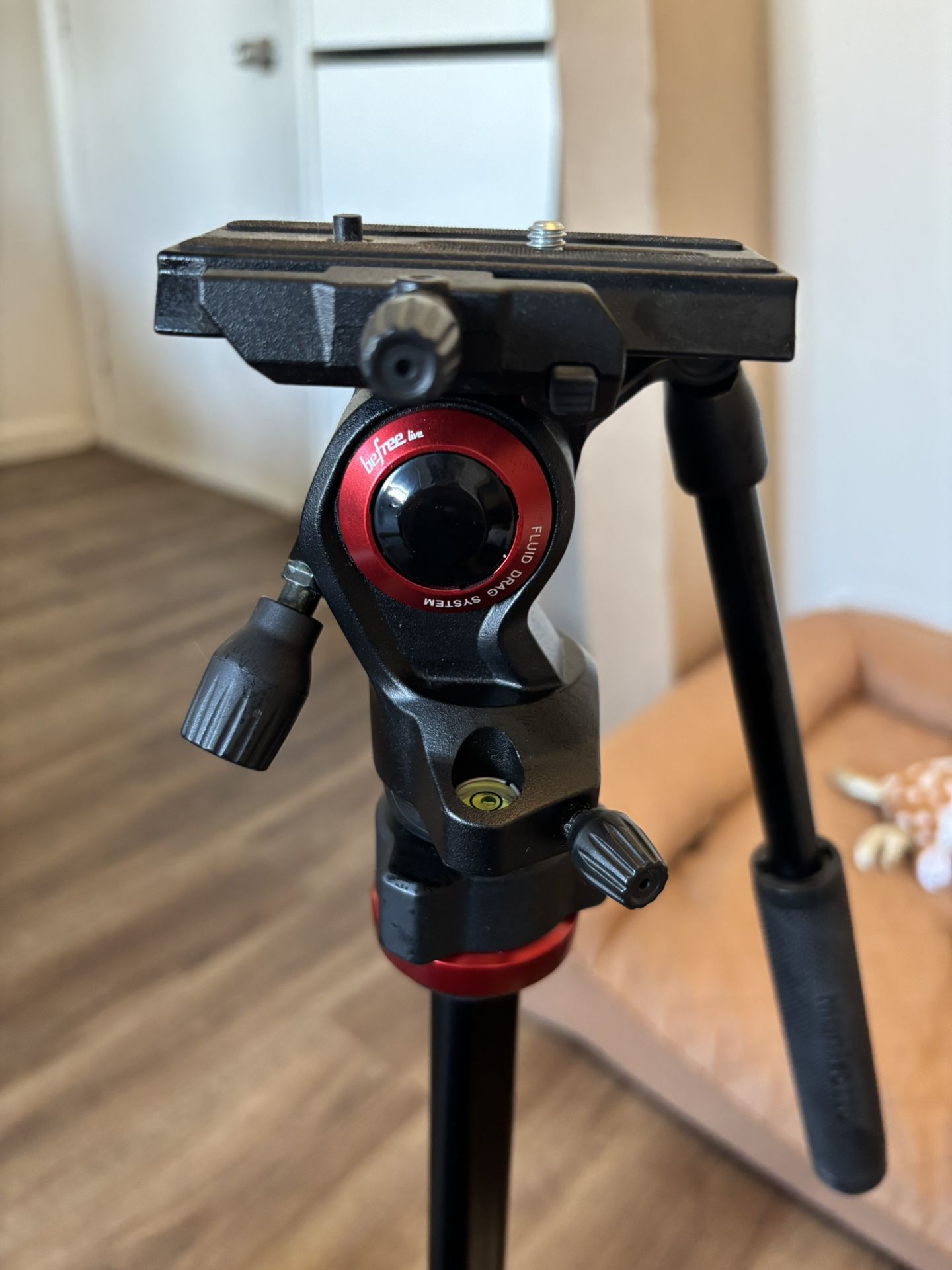 Travel Tripod - Manfrotto Befree Live