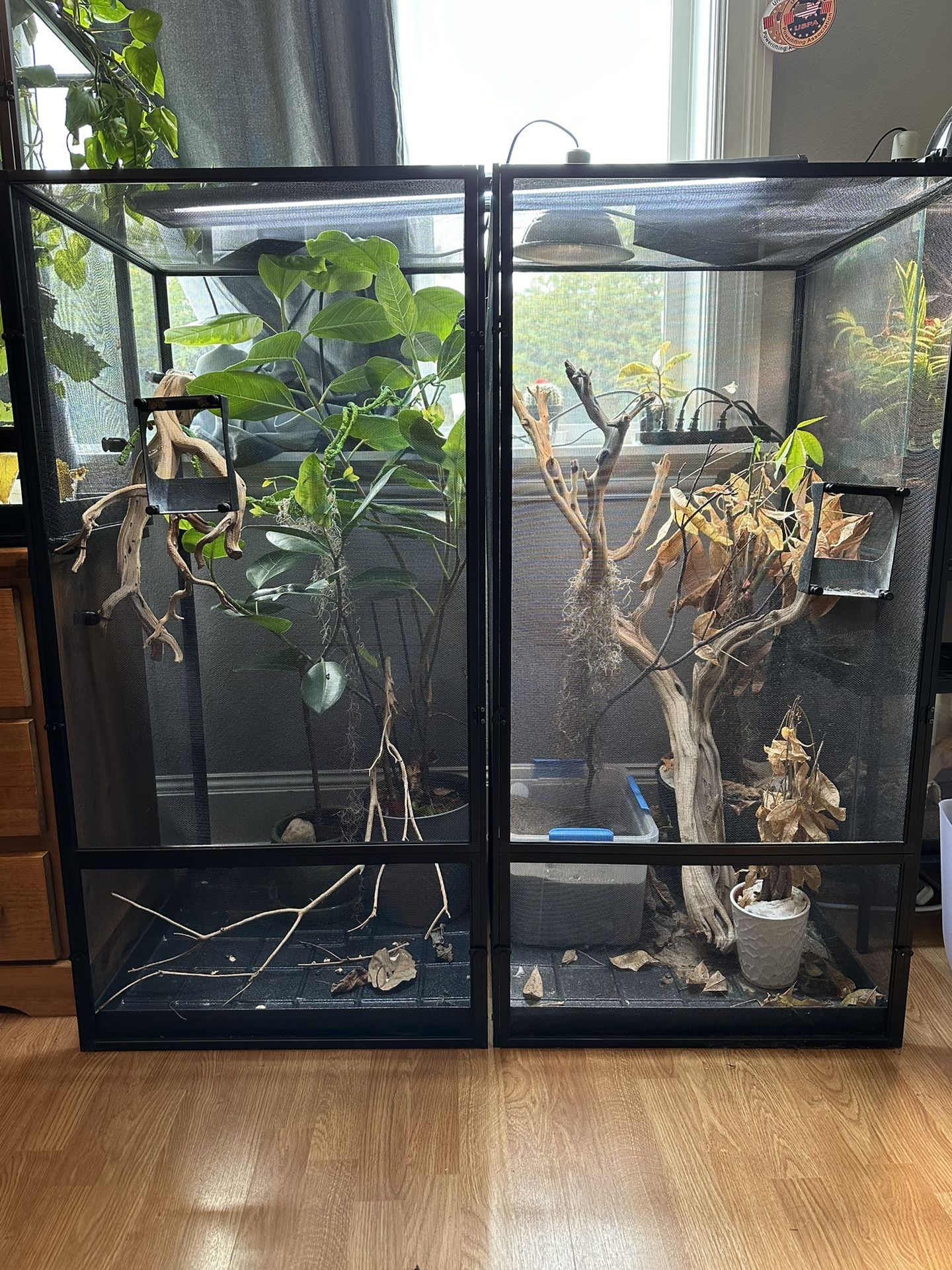 Reptile enclosure XL and L Reptibreeze and chameleon supplies