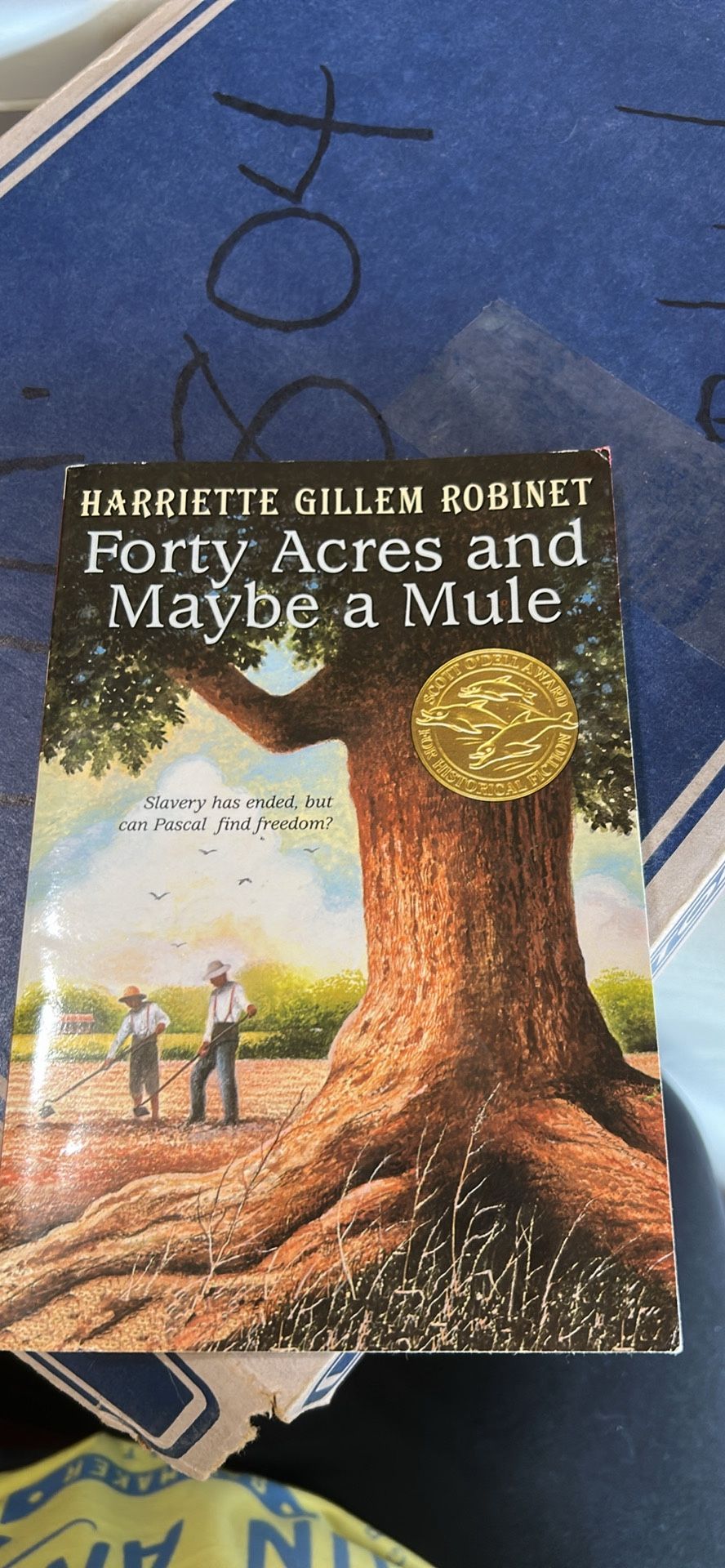 Classroom Book Set