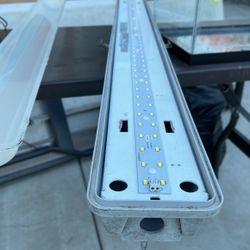 Led Lamp